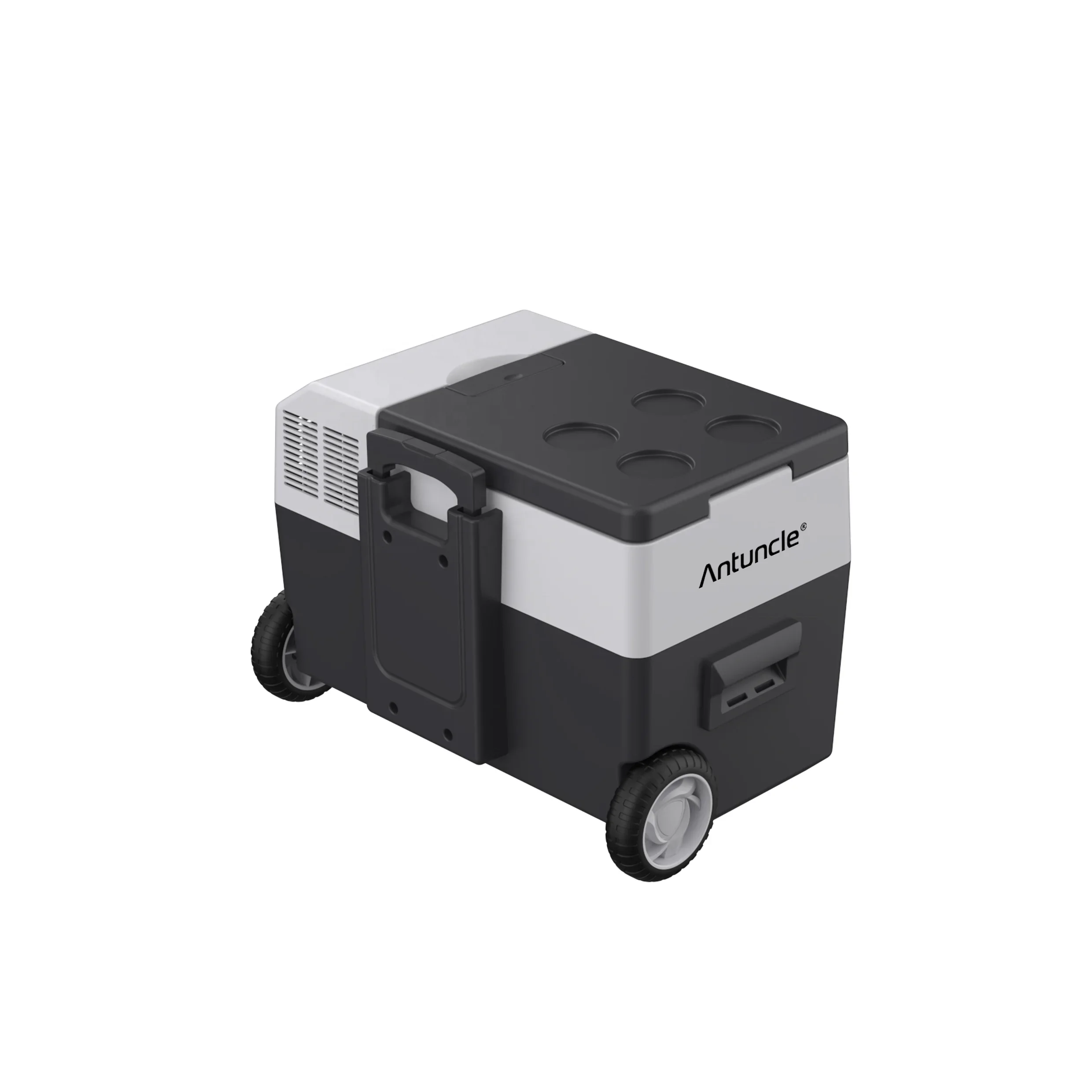 12V Dual Use 30 Liter Portable Camping Electric Cooler Car Refrigerator