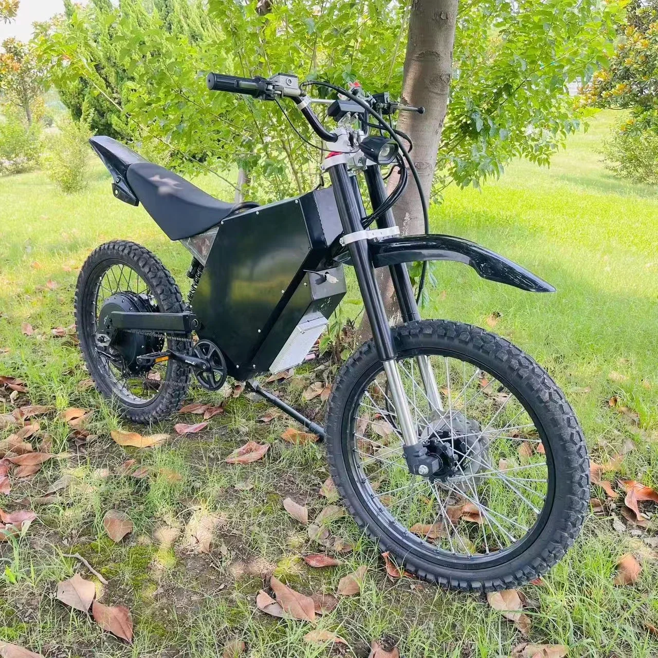 2025 Newest 3000W/5000W Stealth Bomber E-Bike, 8000W/12000W/15000W Off-Road Bike